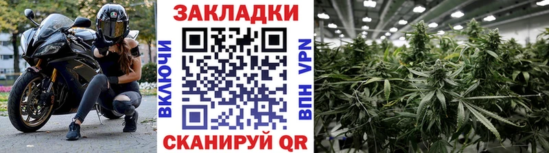 Где можно купить наркотики Ржев KRAKEN как зайти  Мефедрон  ГАШИШ  Конопля  Кокаин 