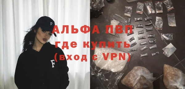 гашик Арсеньев