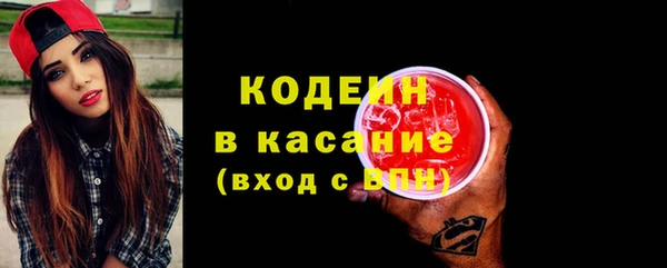 гашик Арсеньев