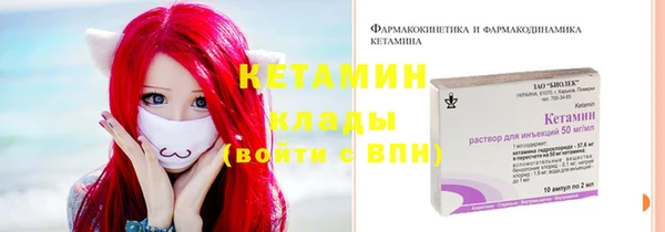 гашик Арсеньев