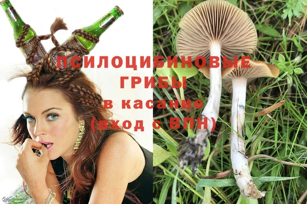 сатива Армянск