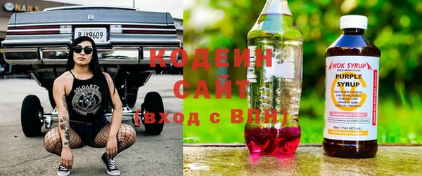 гашик Арсеньев