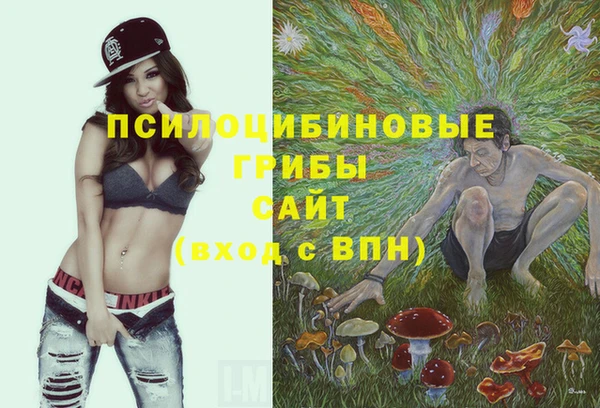 гашик Арсеньев