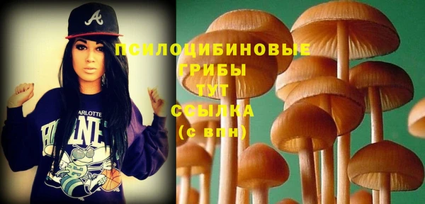 сатива Армянск