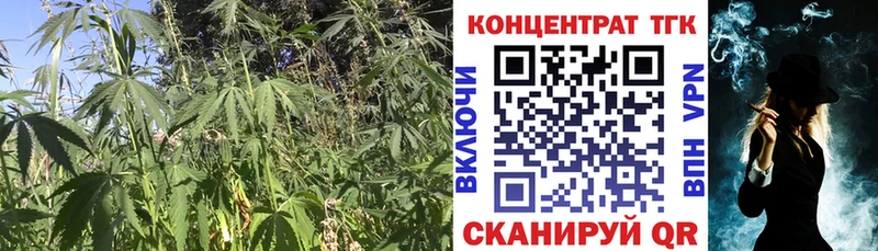 ТГК THC oil  Ржев 