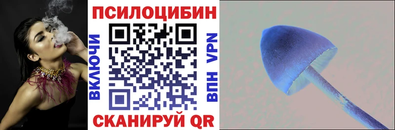 наркошоп  Ржев  Галлюциногенные грибы мицелий 